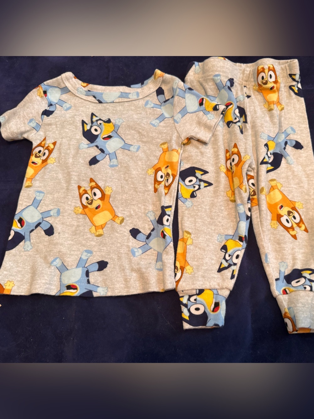 NWOT Bluey Pajama Set-Sz 12 mos